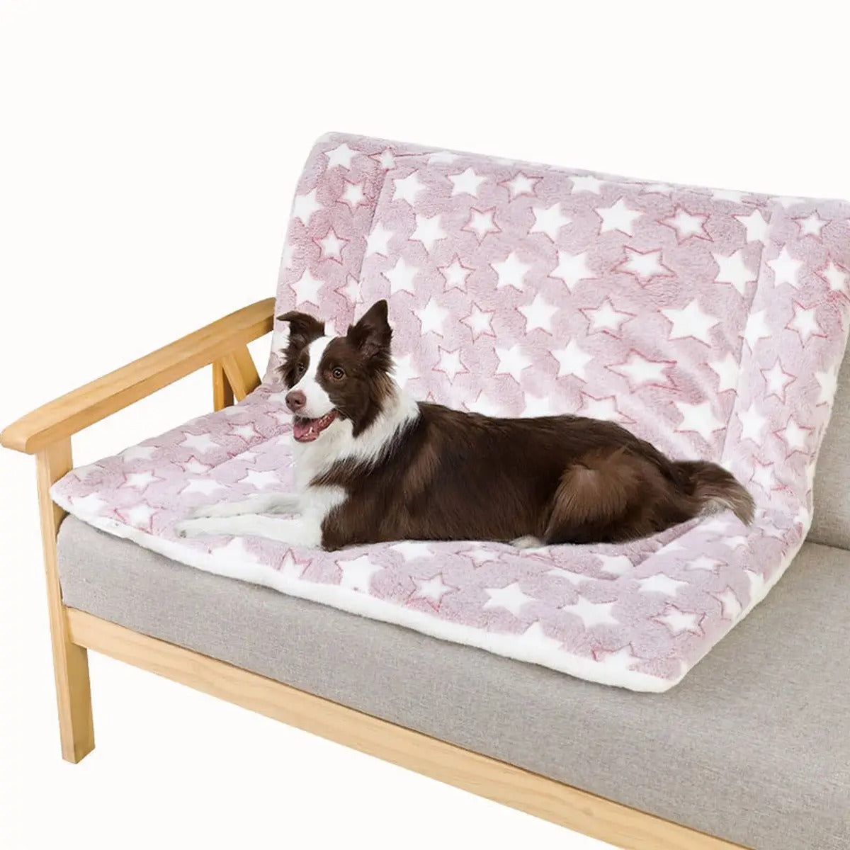 Double-Layer Plush Pet Blanket – Warm & Thick_CWMM5321