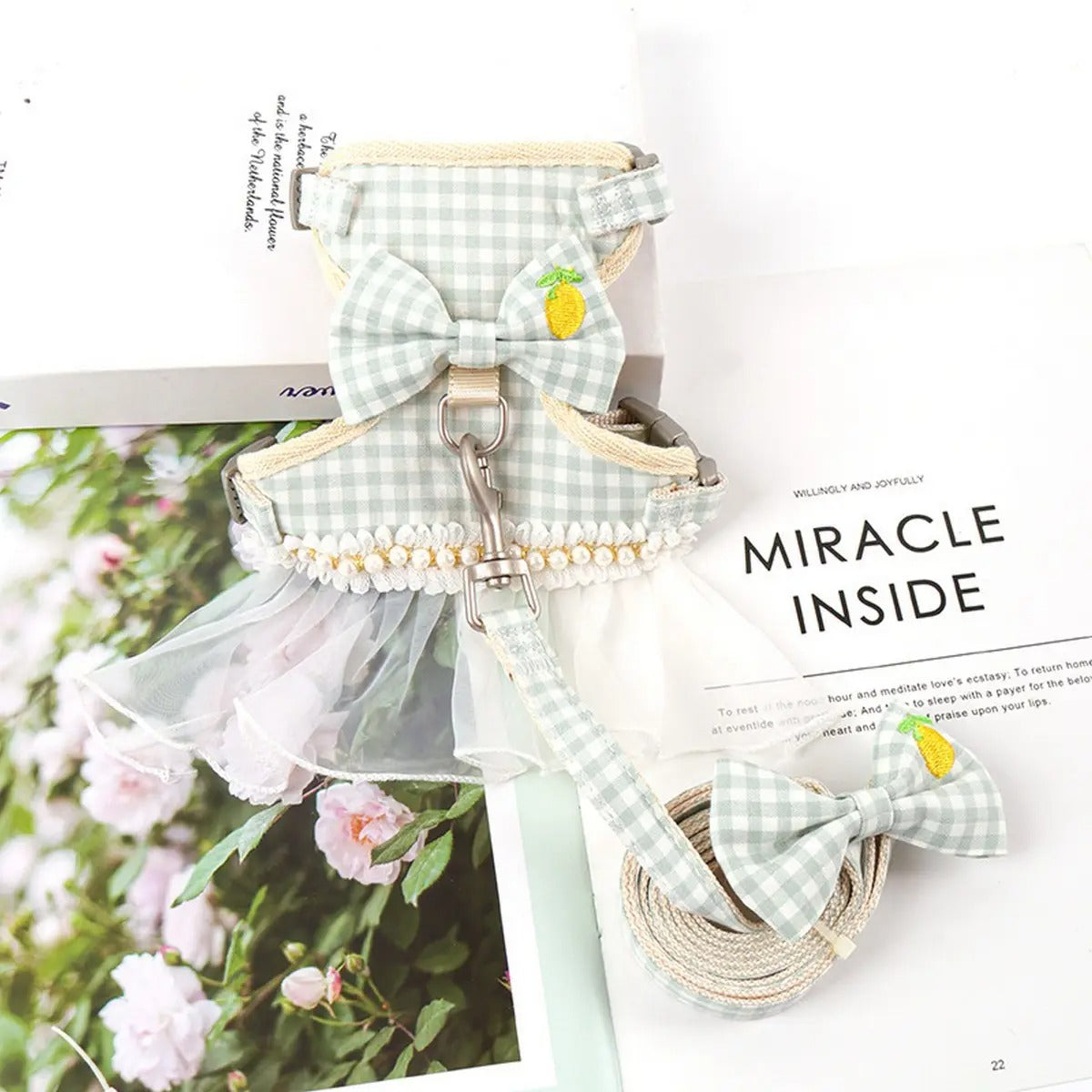 Escape-Proof Cat Harness and Leash Set_CWMM5959