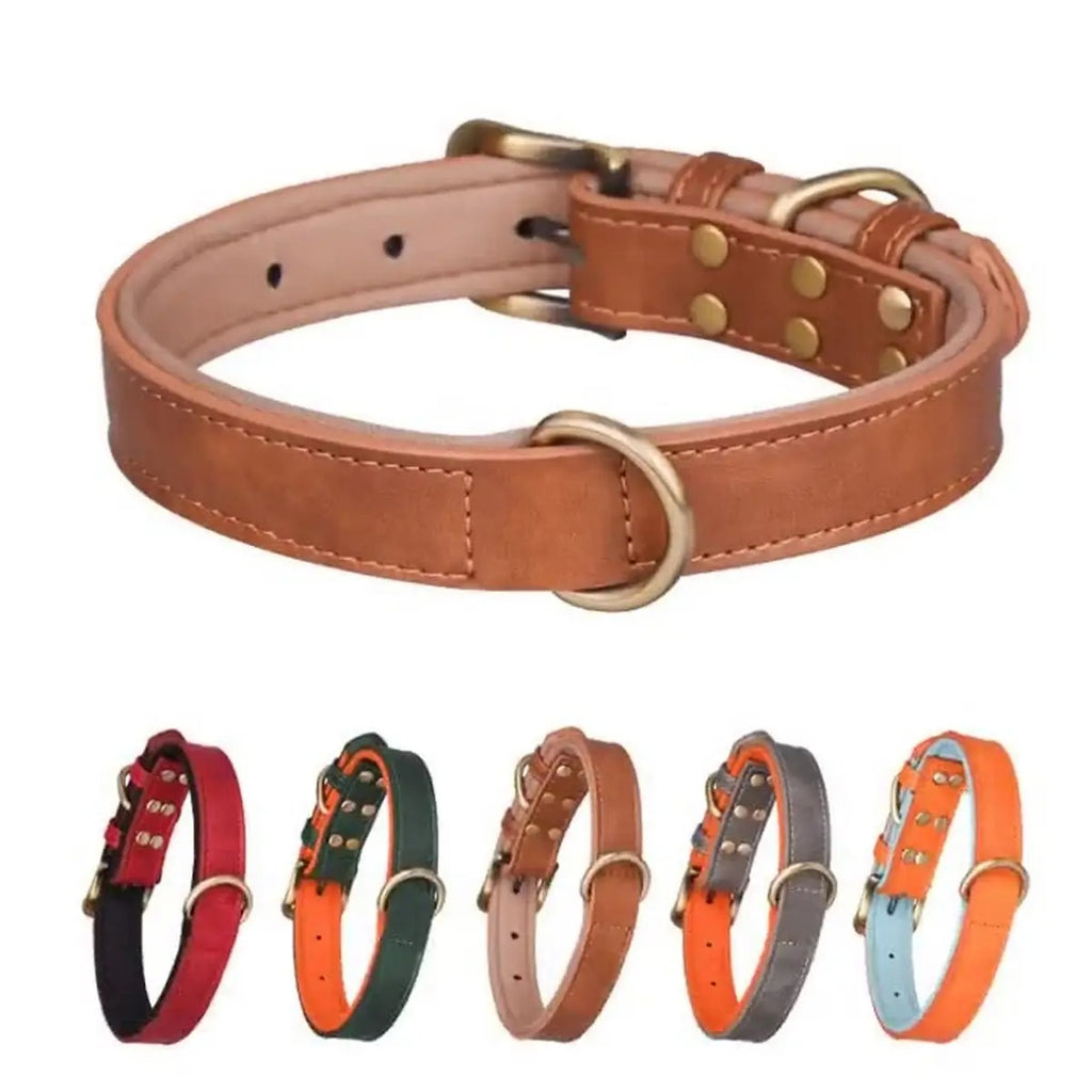 Colorblock Space Cotton Dog Collar & Leash Set_CWMM5976