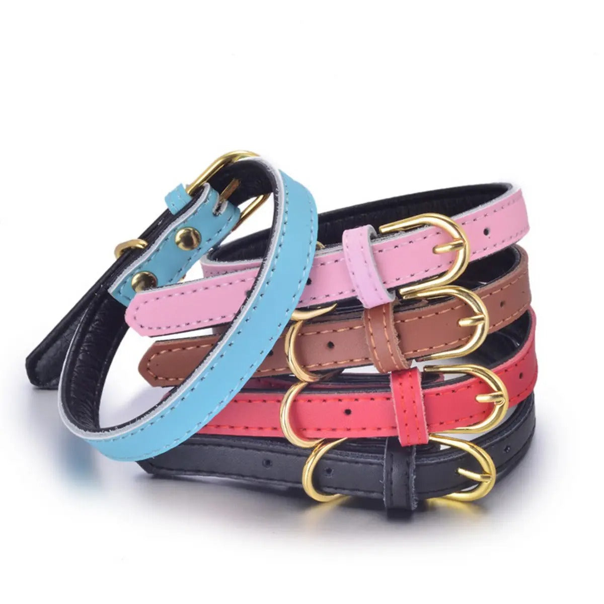 Minimalist Metal Buckle Solid Color Dog Collar_CWMM5975