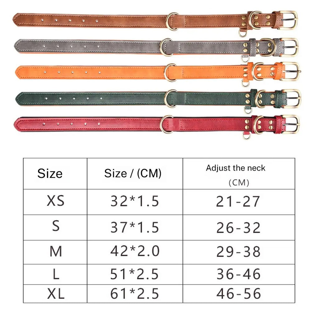 Colorblock Space Cotton Dog Collar & Leash Set_CWMM5976
