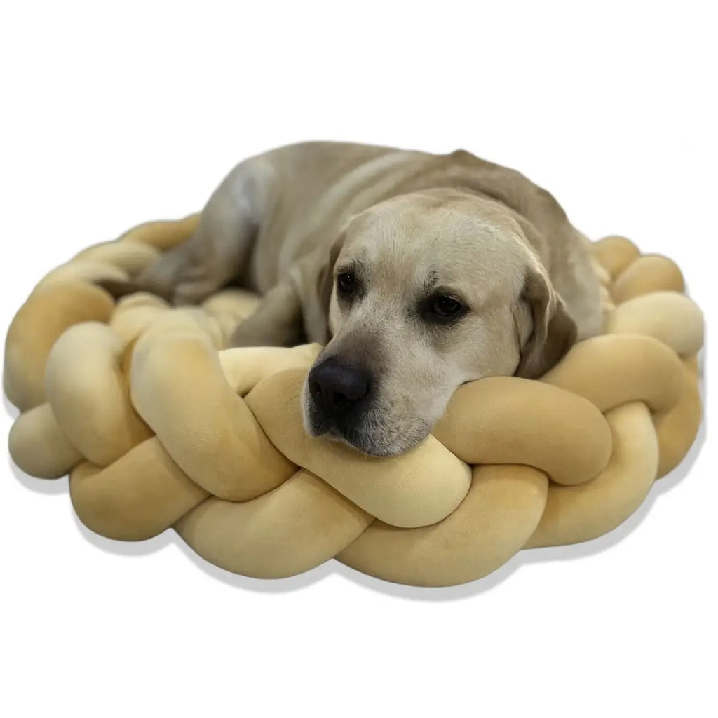 DIY Handcrafted Pet Bed, 6cm Plush Washable Design_CWMM6501