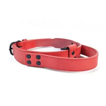 Tactical Leather Dog Collar with Control Handle_CWMM7722