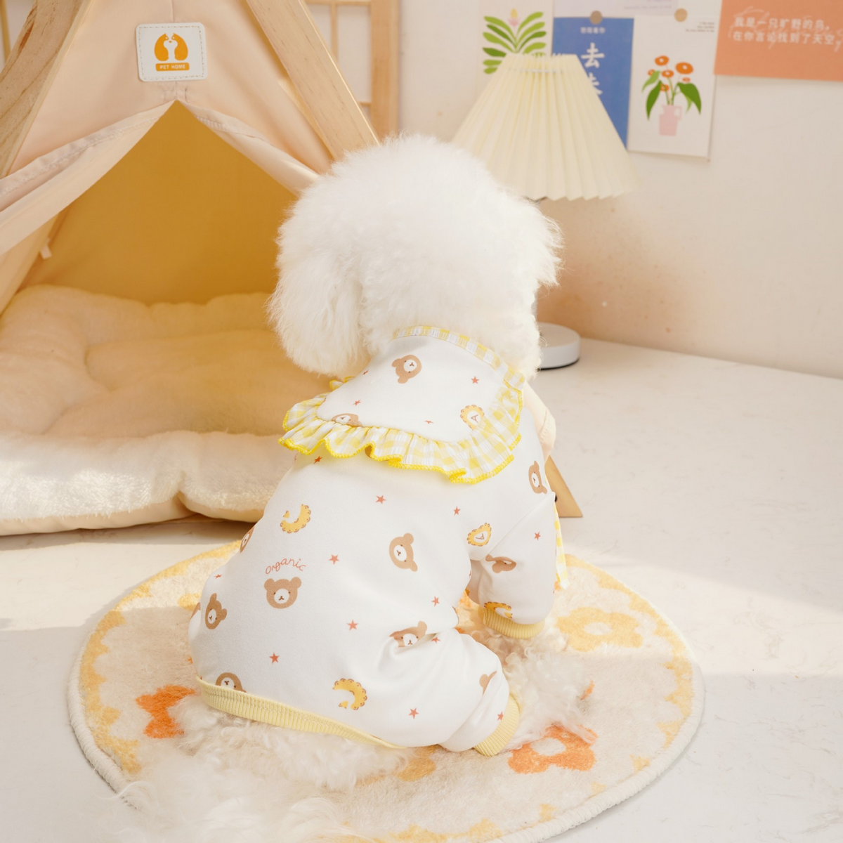 Summer Four-Leg Pet Shorts – Anti-Shedding Wear_CWMM7352