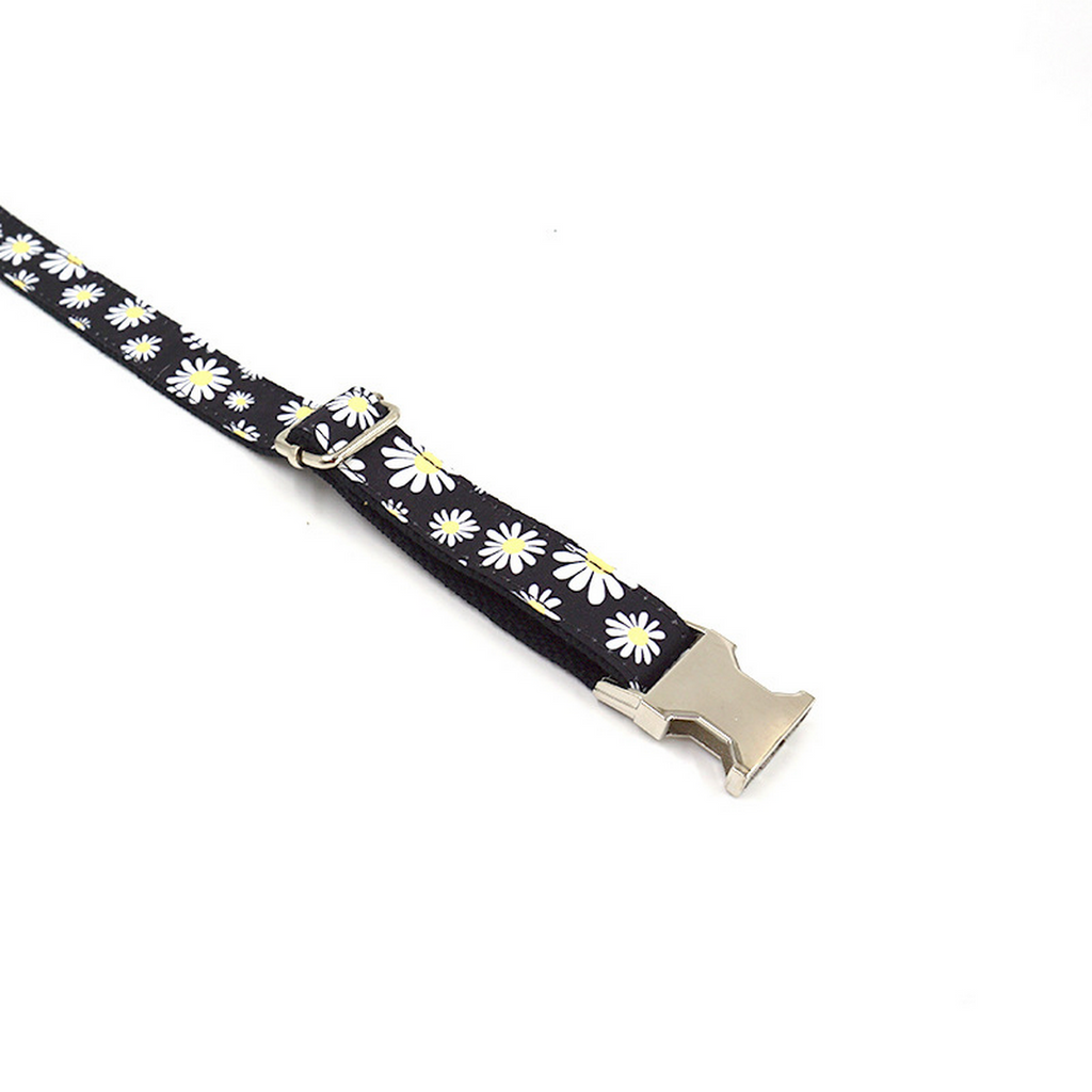 Spring Daisy Pet Collar – Cute & Comfy_CWMM7080