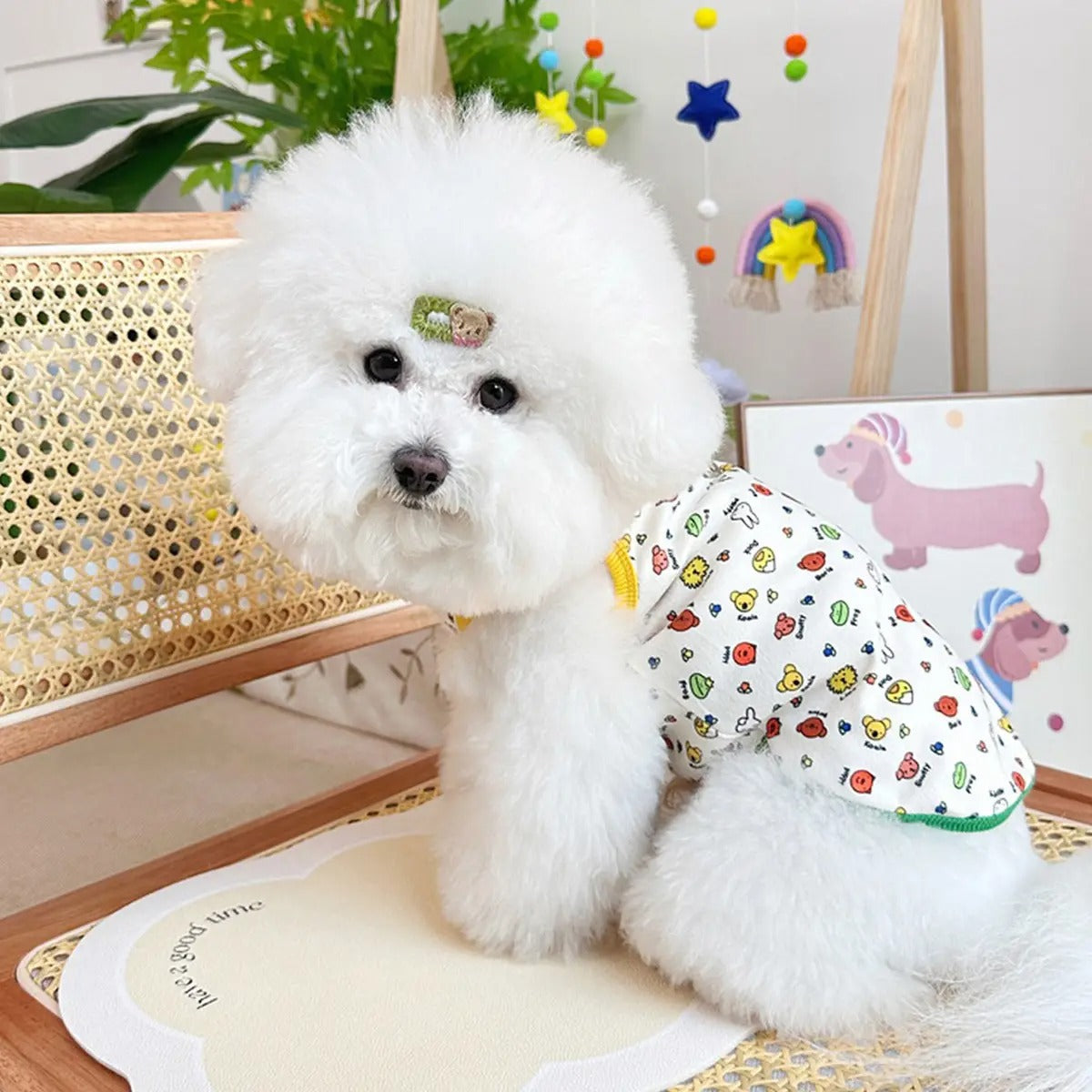 Summer Pet Vest – Soft Cotton Dog Vest_CWMM5849