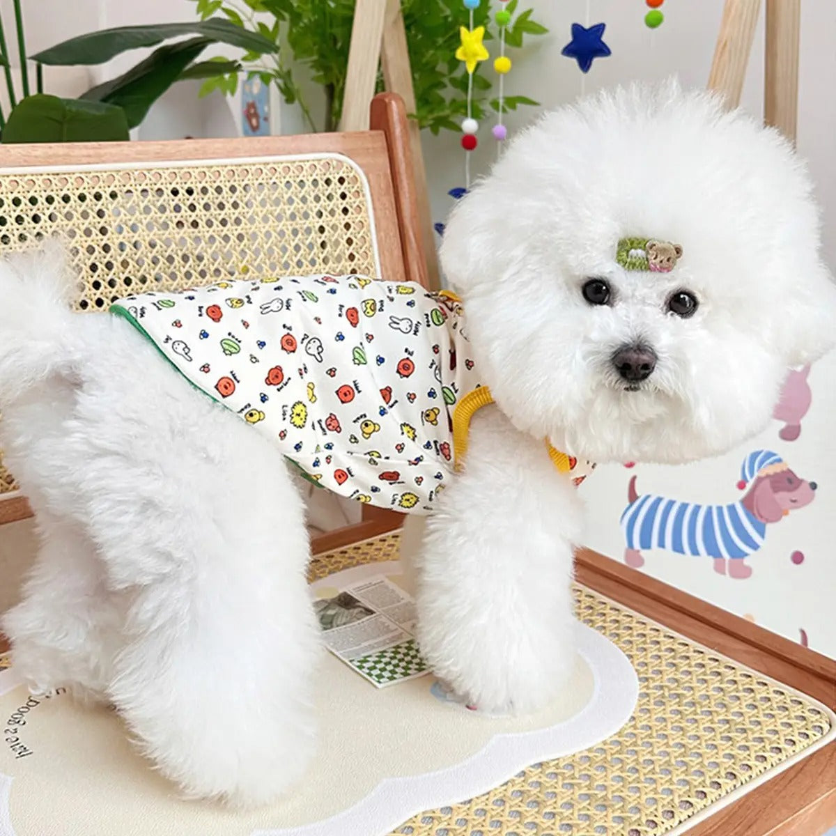 Summer Pet Vest – Soft Cotton Dog Vest_CWMM5849