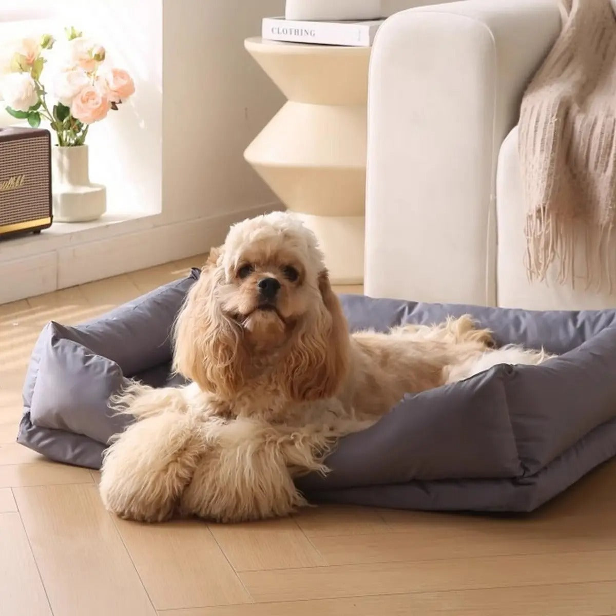 Summer Pet Bed – Waterproof & Washable for Dogs_CWMM7653