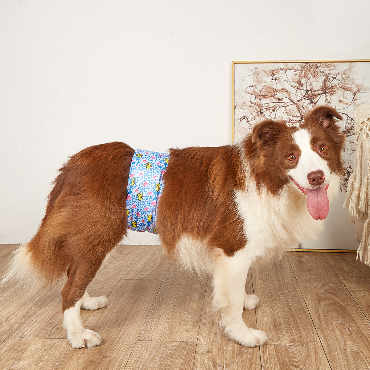 Male Dog Diaper Wrap – Reusable & Waterproof_CWMM7304