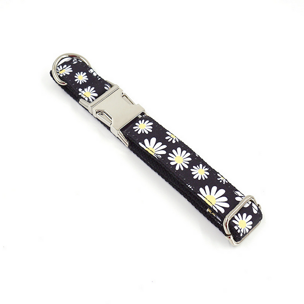 Spring Daisy Pet Collar – Cute & Comfy_CWMM7080