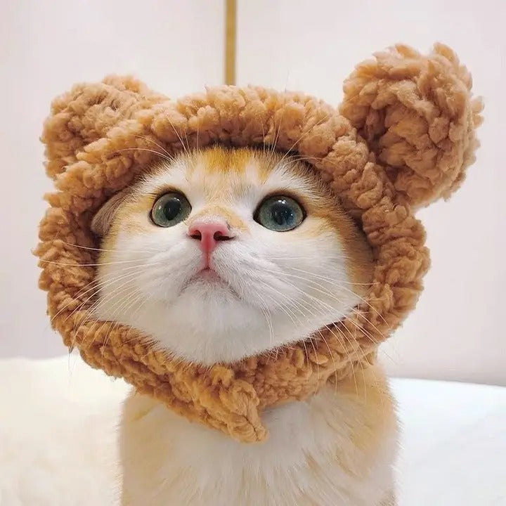 Teddy Bear Knit Pet Hat – Warm & Adorable_CWAH3692