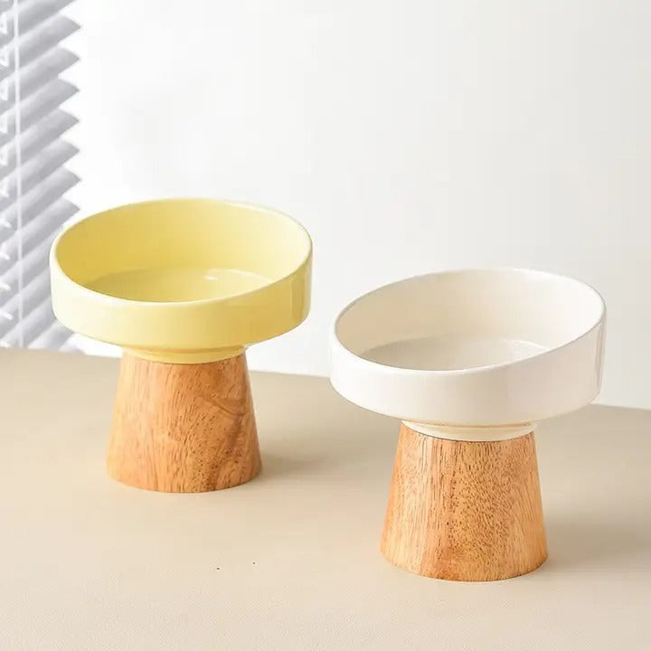 Tilted Raised Ceramic Pet Bowl for Neck Comfort_CWMM5938