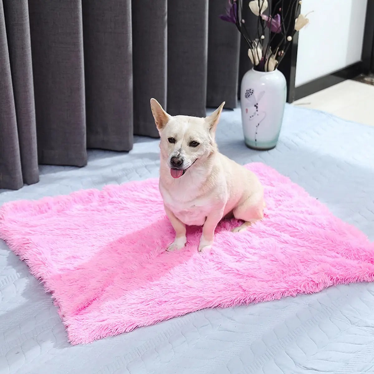 Lightweight Plush Pet Blanket for Summer_CWMM5322