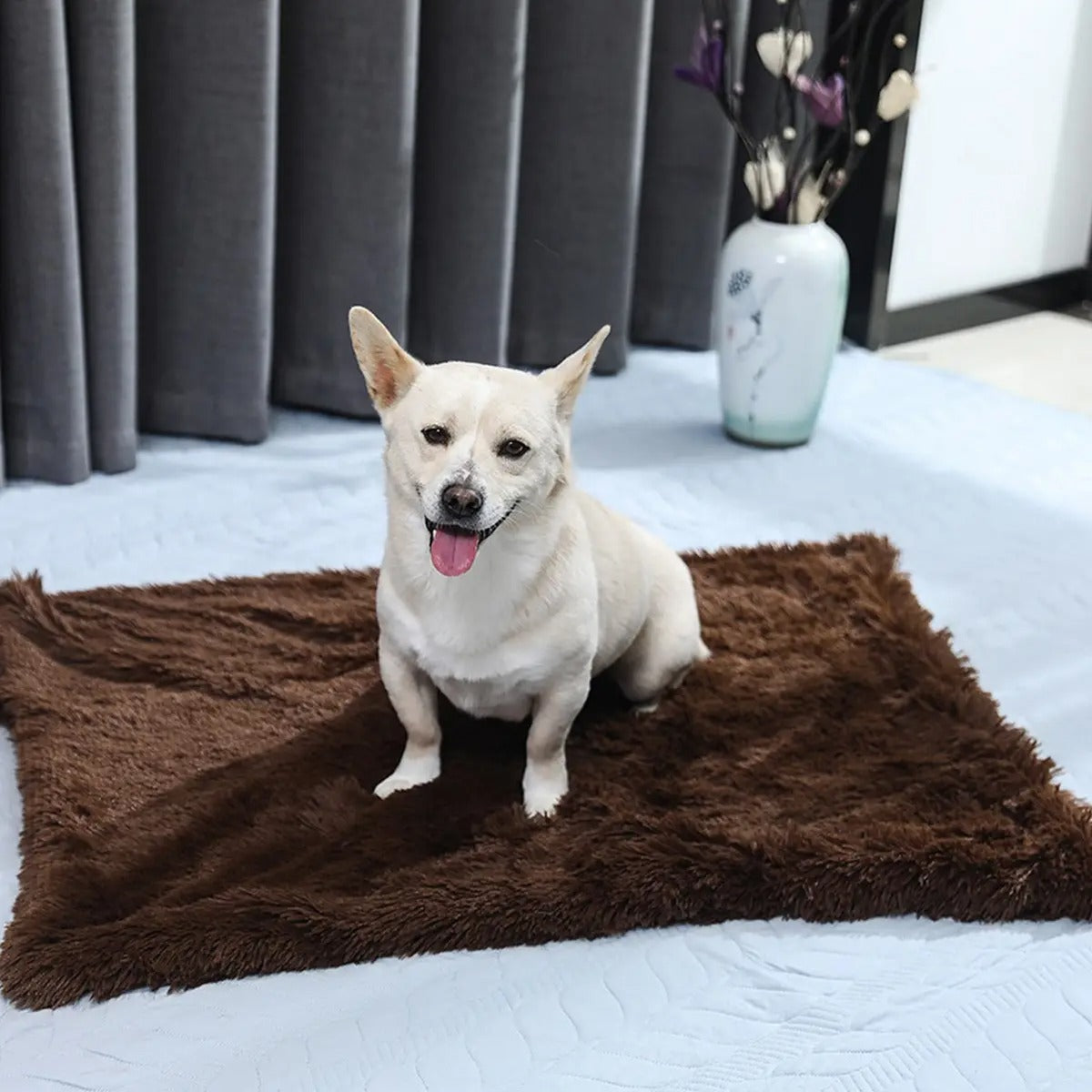 Lightweight Plush Pet Blanket for Summer_CWMM5322