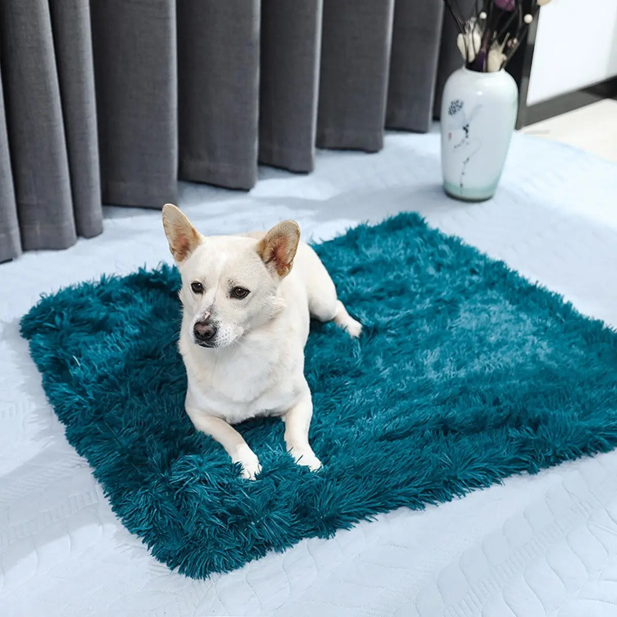 Lightweight Plush Pet Blanket for Summer_CWMM5322