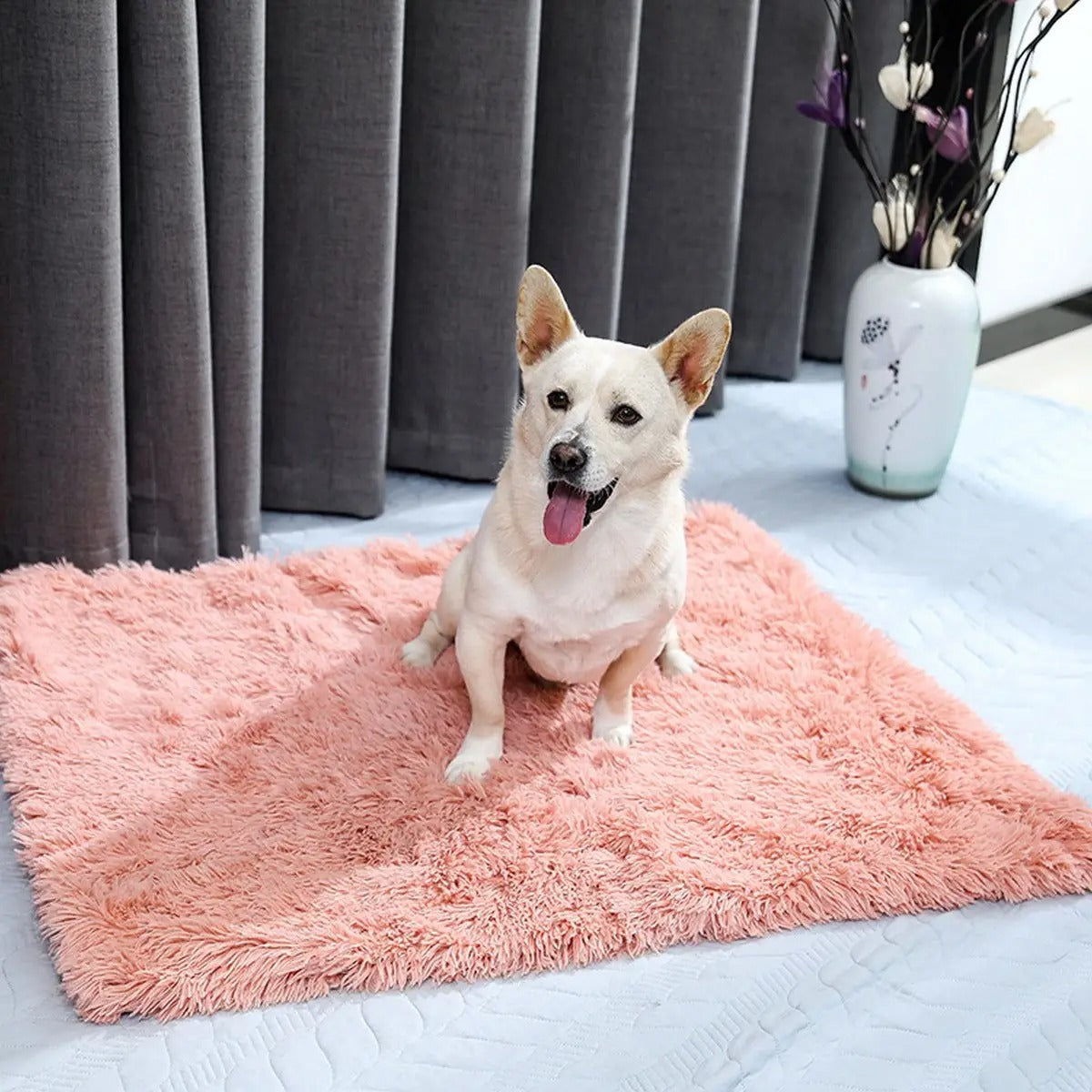 Lightweight Plush Pet Blanket for Summer_CWMM5322