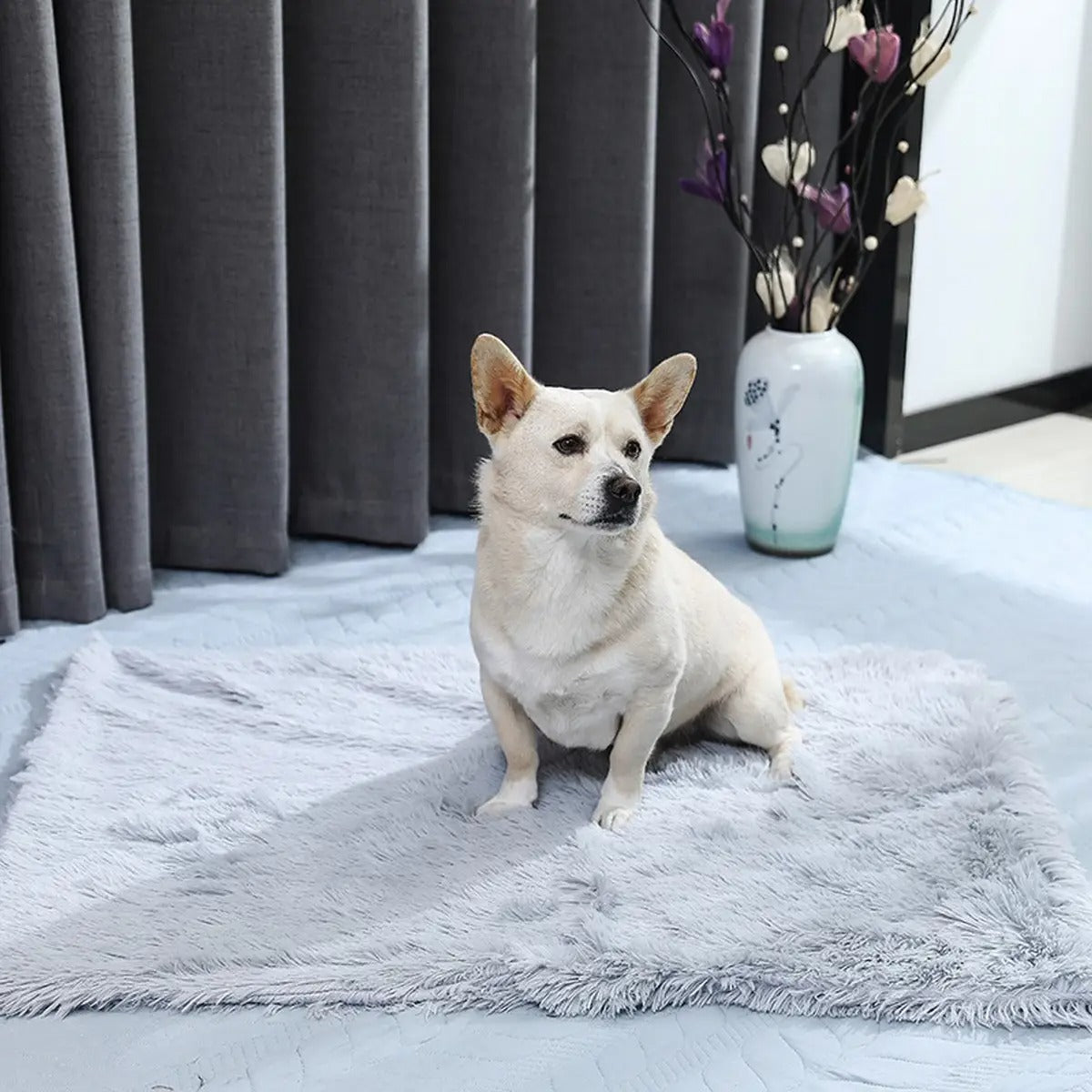 Lightweight Plush Pet Blanket for Summer_CWMM5322