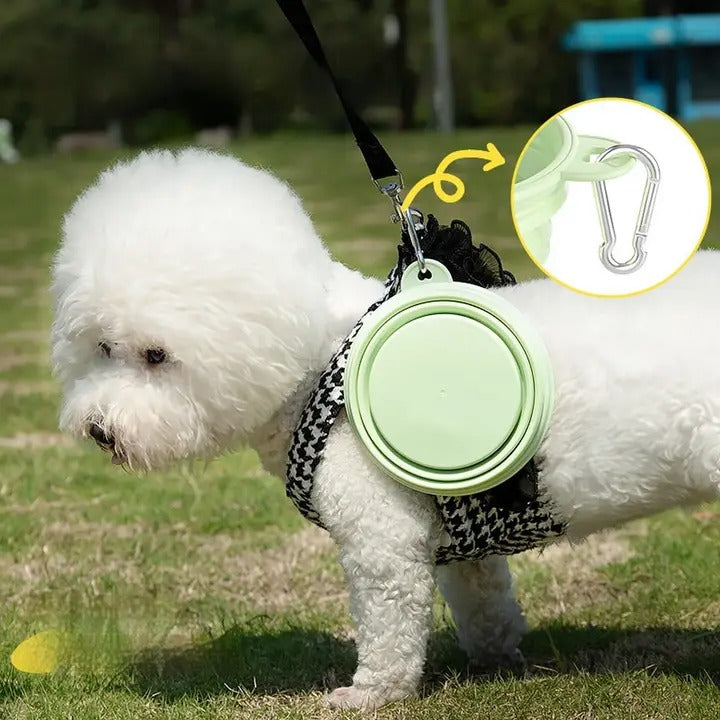 Travel Dog Water Food Bowl Collapsible_CWMM6222