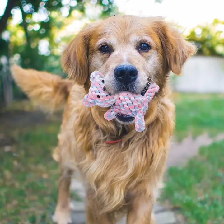 Teddy Bear Rope Dog Toy – Handmade Chew Toy_CWMM8035