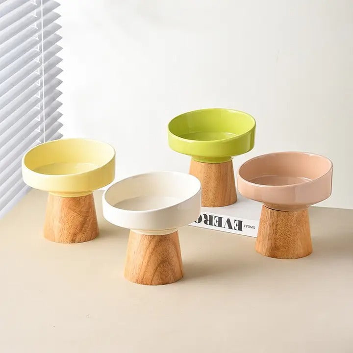 Tilted Raised Ceramic Pet Bowl for Neck Comfort_CWMM5938