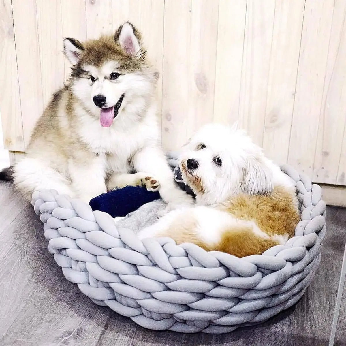 Chunky Handwoven Pet Bed, Machine Washable Cotton_CWMM6457