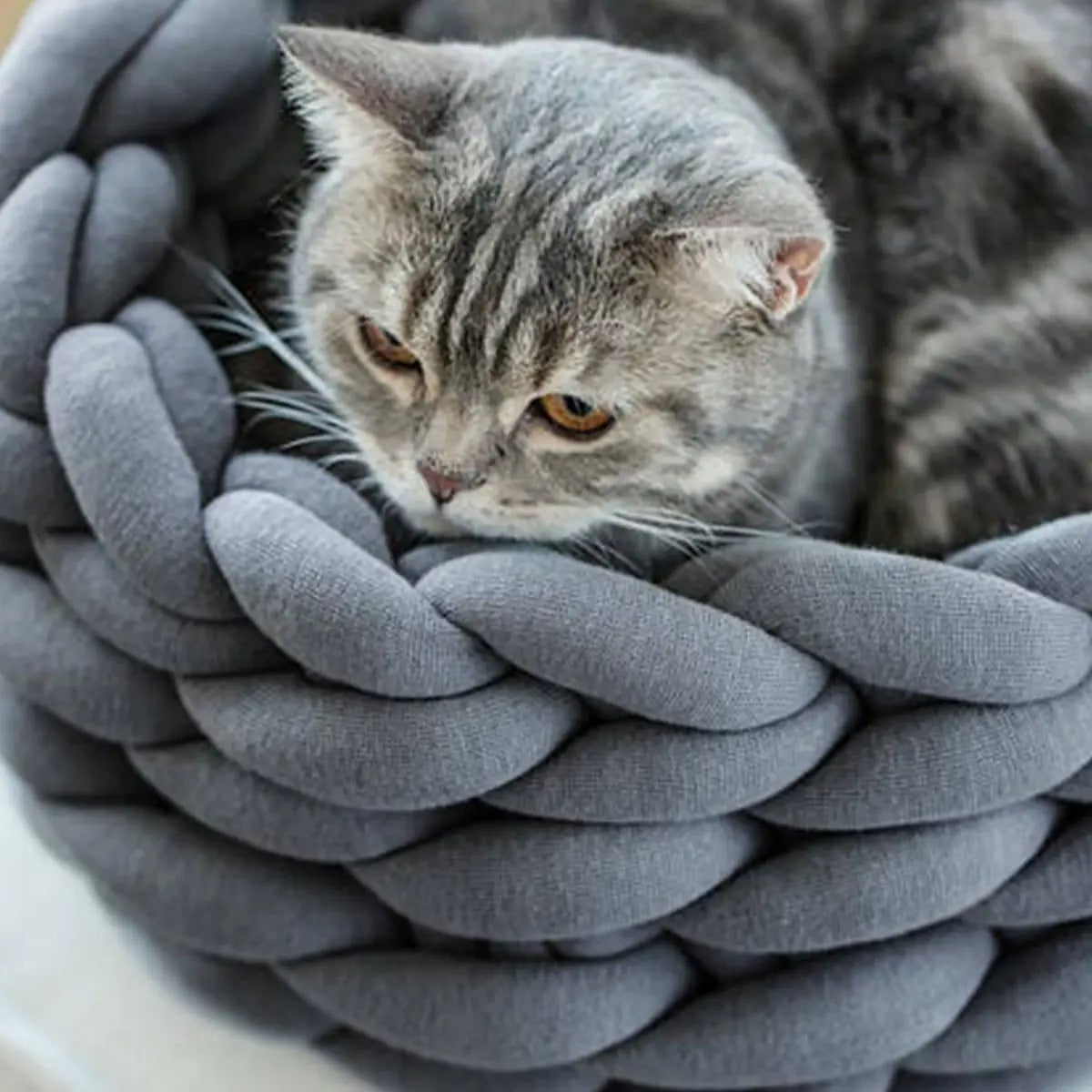 Chunky Handwoven Pet Bed, Machine Washable Cotton_CWMM6457