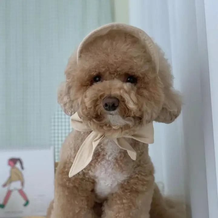 Sun Hat for Small Dogs & Cats – Garden Style_CWAH3709