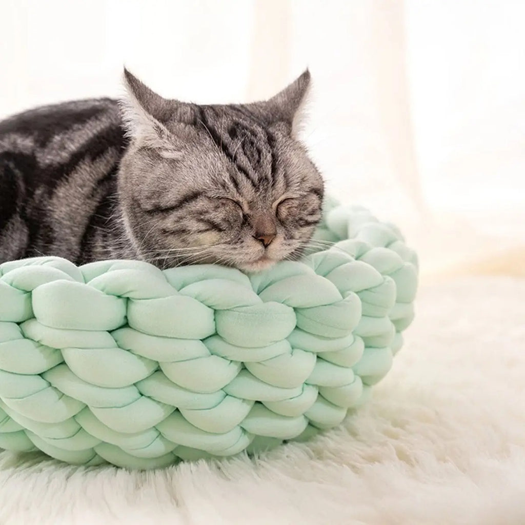 Chunky Handwoven Pet Bed, Machine Washable Cotton_CWMM6457