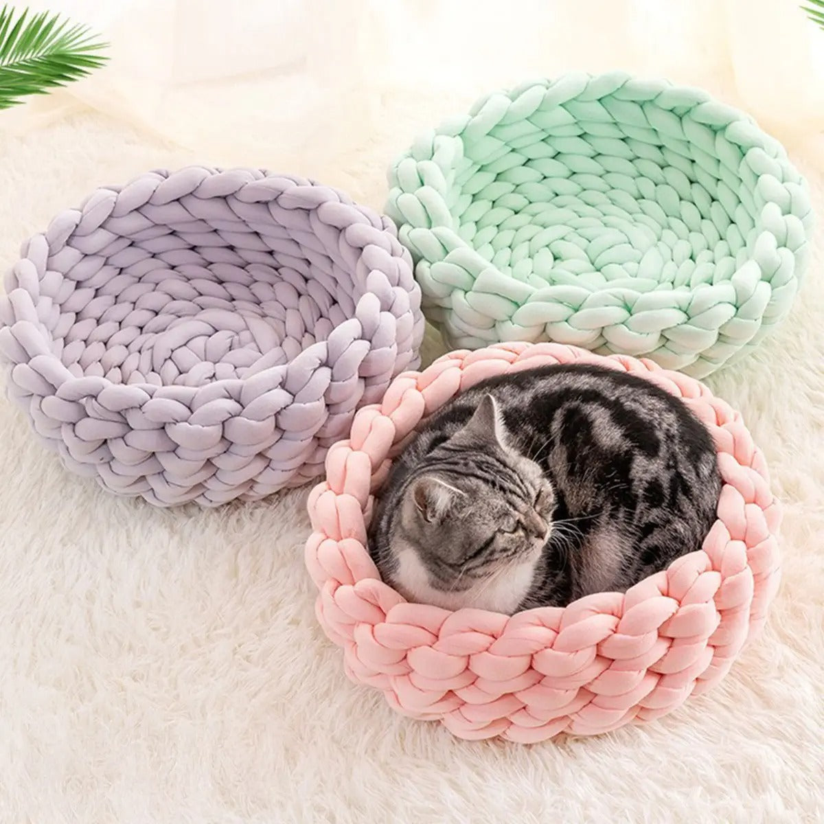 Chunky Handwoven Pet Bed, Machine Washable Cotton_CWMM6457