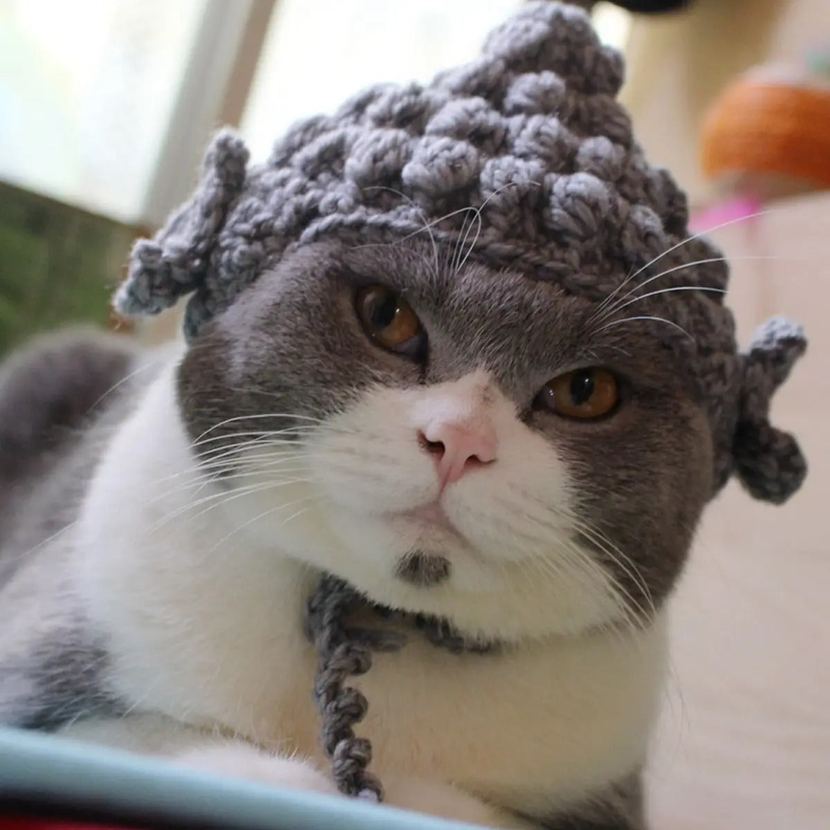 Funny Buddha Hat for Cats – Handmade Costume_CWAH3710