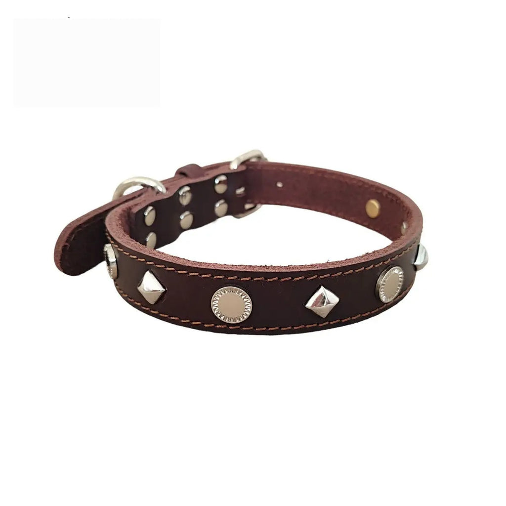 Full-Grain Leather Dog Collar with Studs, Large_CWMM7709
