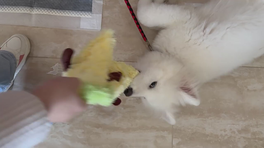 Hugging Banana Plush Dog Toy Squeaky_CWMM13354