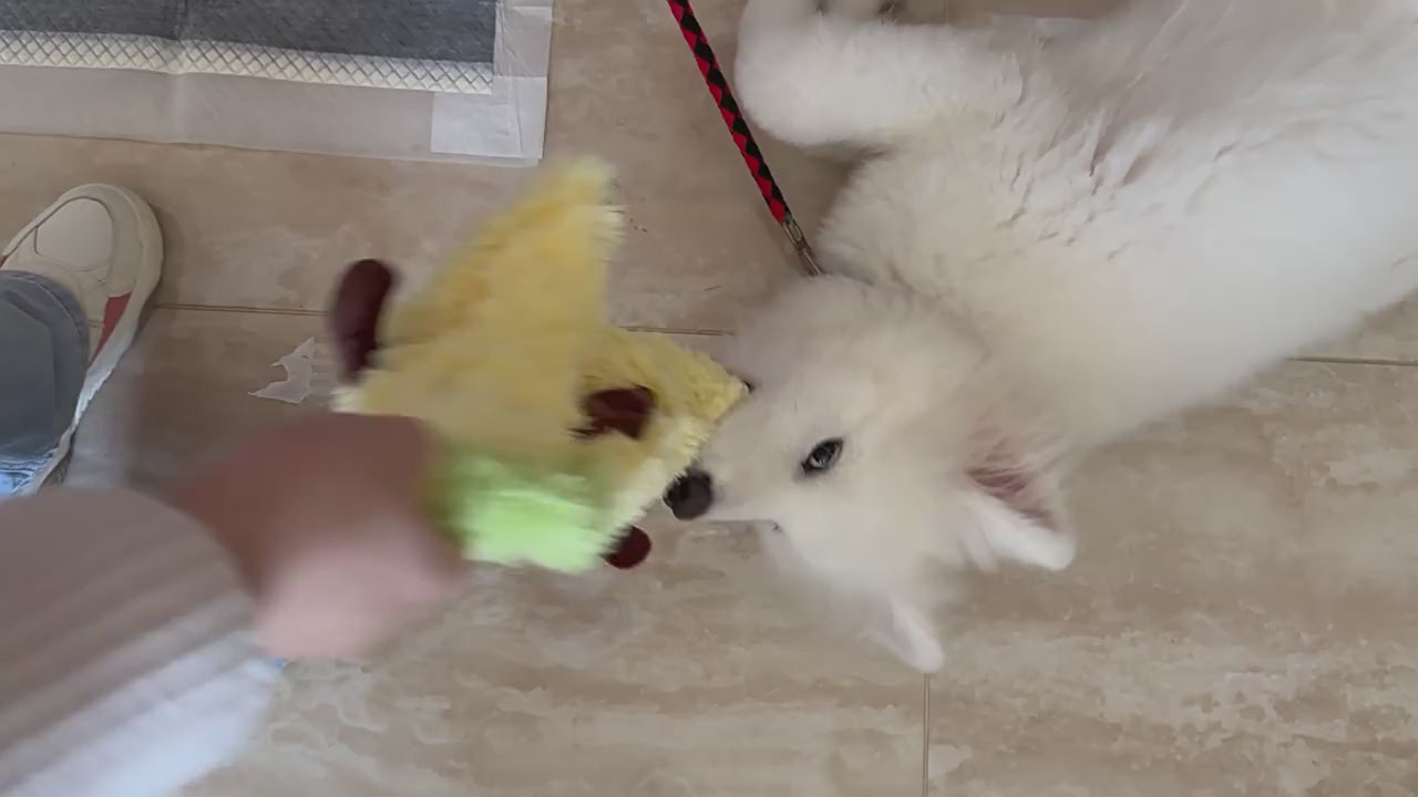 Hugging Banana Plush Dog Toy Squeaky_CWMM13354